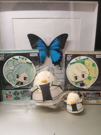 挖煤姬十一月海淘分享