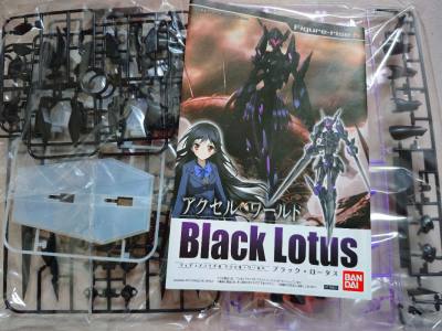 终于买到了加速世界的拼装模型，全新未拼装的很稀有，盒说全，还很新，期待拼装完成后的成品，怨念物减1，期待下次购物