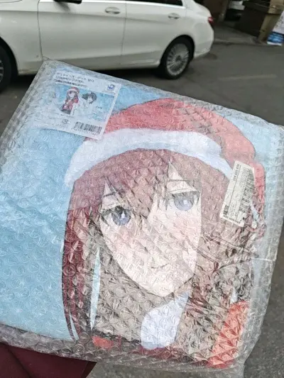 软件代购速度很快，入库时间也很快效率高，EMS很快就发到国内了，客服的工作态度认真负责，有问题都帮我解答完了