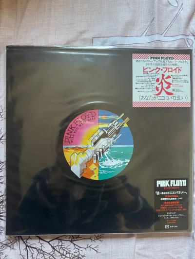 这次主要是买了邓丽君、pink Floyd的一些黑胶都是经典，然后走的是竹蜻蜓，20几天收到，接下来就是试听环节