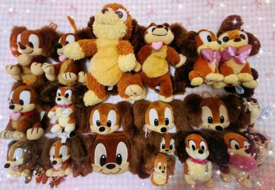 这次是菲菲集合