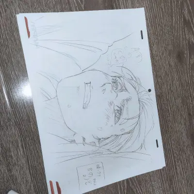 切了三张原画特典，本来想着海淘回来这种脆弱的纸片子状态不会太好。结果一打开箱子震惊了！整整有三层大泡沫纸！！挖煤姬真的特别令人省心.物流也全程能看见?我会一直用挖煤姬的