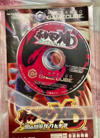 竹蜻蜓物流晒单