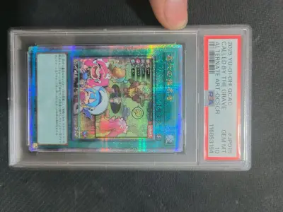 分享一下这段时间在挖煤姬上买到的东西。挖煤姬的包装很好，发货速度快，功能也越来越多样，运输安全。速度非常快。已经买了很多次了，非常推荐这款日淘APP。