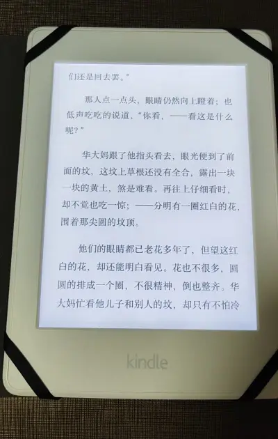 跟描述的一样，除了边框有轻微磕碰外整体挺新的！设计很轻便又贴手，手感很好。续航能力也很不错，充一次电能用上好几天，完全不用担心频繁充电的问题。墨水屏的显示效果真的很柔和，长时间阅读也不会累眼，体验接近纸质书。喜欢看书的朋友，这款真的可以闭眼入