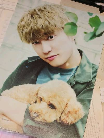 挖煤姬第n次体验！！！