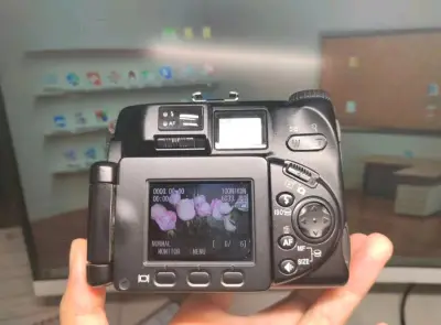 买了三台ccd，成功下车。 每台都和卖家描述的一致，配件很全，运回国内也没有损坏，美美的用上了，拍照非常好看，特别喜欢。最主要的是三台买下来也很便宜，心水。