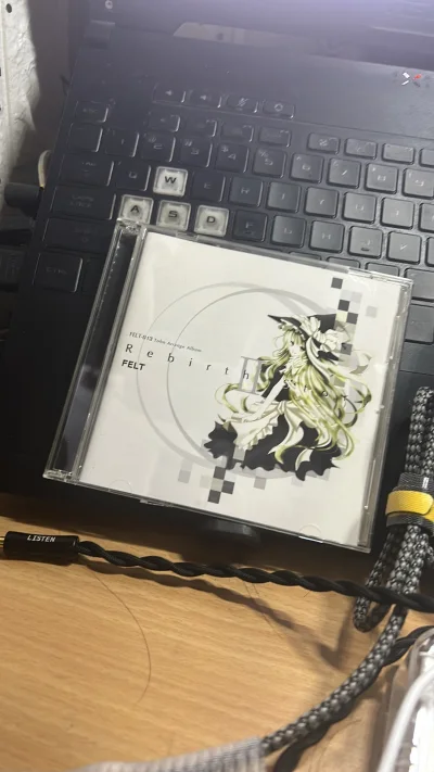 The cd is good，no defects.Hoping more CD of FELT will be exhibited