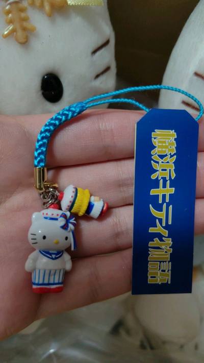 在挖煤姬切的第22箱了，超级超级多好东西，都是可爱的小挂件。走的是竹蜻蜓plus，速度快，价格便宜，好用爱用。