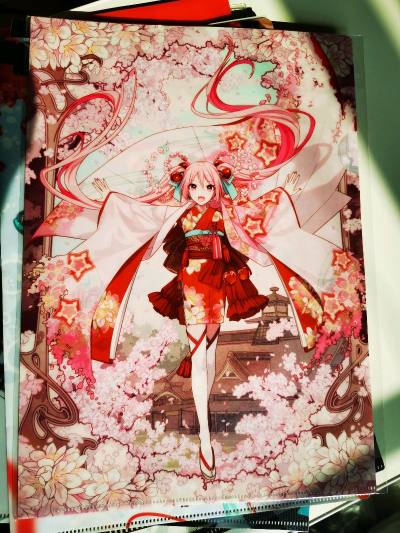 作为初音忠实粉丝，这次在挖煤姬的购物体验可以打满分！收到的文件夹是期待已久的联动款，品相全新。平台操作简单，打包专业得令人安心，全程物流可追踪。能顺利收藏到心仪的周边非常开心，强烈推荐给各位葱粉！