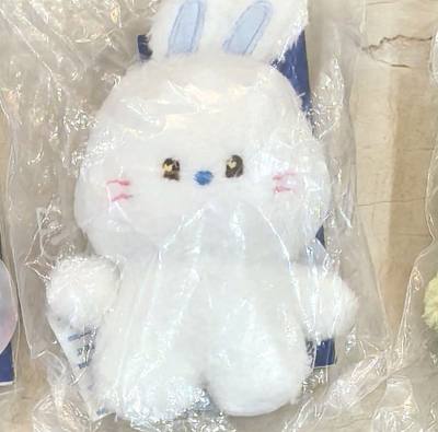 自从接触了挖煤姬真的一发不可收拾，每天都想买一点，不买就感觉亏了似的。买到又划算又好看绝版的毛绒真的很开心