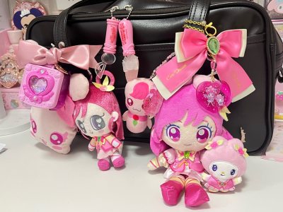 12月1日收到了11月海淘的东西 这次淘了光之美少女的毛绒玩偶和包挂 物流很快 这次选择ems一周就到了 还用了积分抵扣运费很划算 支持