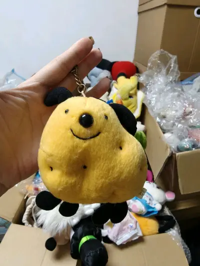 挖煤姬好物分享 收到了可爱的土豆狗子 小小一只 是很可爱的背包款 少见 卖家保存很好 直接包税到家！安全放心！推荐推荐