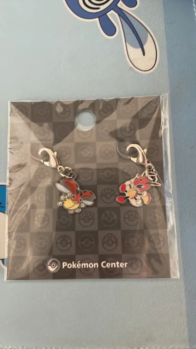 宝可梦 挂件 钥匙链 二代口袋妖怪 成都地区 一代收集全了，开始二代收集，用挖煤姬软件代购方便快捷，尽快收集二代完整图鉴