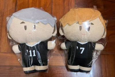 当然是成功下岸了！真的很感谢挖煤姬竹蜻蜓物流，那个时候第一次接触海淘，全靠自己摸索和缘分使然，选择了挖煤姬，一直很忐忑，直到初雪降临那天，孩子们跨越几千公里到了我手里，真的特别幸运！