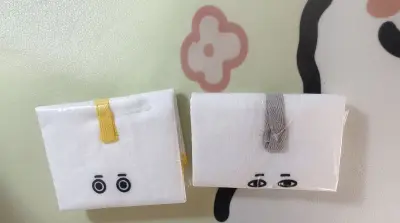 保护措施做得很好，每个谷子都套了一层泡沬袋还有填充，安全到手。整个过程非常顺畅，客服回复很快，态度也很耐心，有问必答。发货和物流都比想象中要快，包裏包得很结实，东西完好无损。最重要的是，商品和页面上描述的完全一样，没有色差，质量摸起来也很好。是一次很省心、很满意的购...