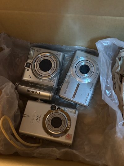 挖煤姬海淘赌赢一次?