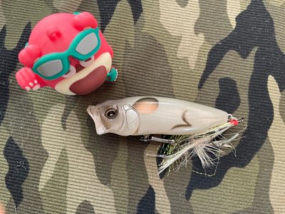 经常在这家商店购物，整体体验良好，未来还会继续光顾，商品价格合理，满足需求，是非常喜欢的产品，商店的产品质量和服务都很好，已经向朋友推荐，他们也很满意。