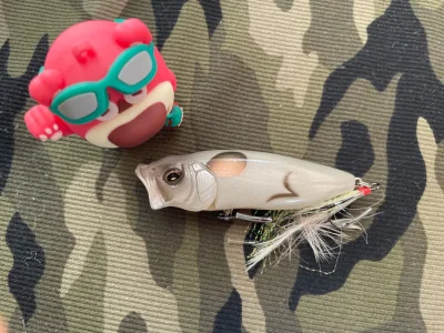 经常在这家商店购物，整体体验良好，未来还会继续光顾，商品价格合理，满足需求，是非常喜欢的产品，商店的产品质量和服务都很好，已经向朋友推荐，他们也很满意。