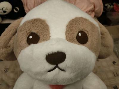 扎特真的好可爱~