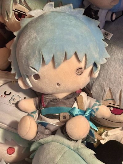 漂洋过海的梦情到家了!