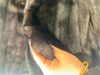 第三次买貂皮了