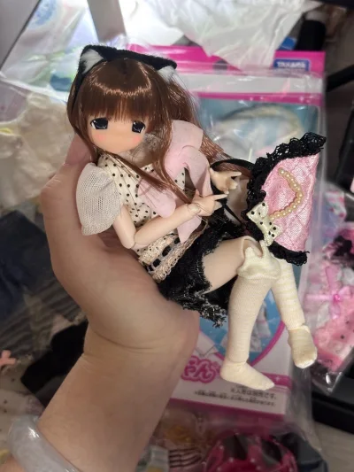 作为一个养娃党，很享受给自己的娃娃换不同衣服的感觉，奈何囊中羞涩，还好有licca娃衣的帮助：款式多样价格也比较合理。我在挖煤姬上切了许多好价娃衣包，每一个价格都不到百元但娃娃穿上效果超群，快递到的时候看着满满一桌娃衣特别满足～