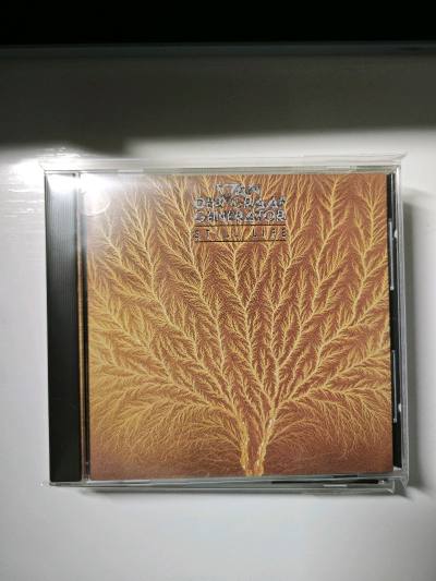 挖煤姬 年末好物分享