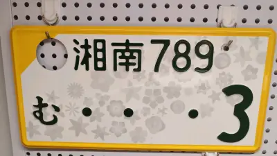 非常好的车牌，价格非常实惠，挖煤姬平台也非常不错，足不出户就能够买到海外的东西，真是一个宝藏平台，要推荐给更多朋友