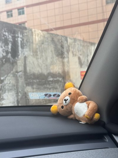 特别特别可爱的一只轻松熊！！这个款国内很少见 代购当时给我报价是一百多 结果我在挖煤姬花了几十块钱就淘到了！成色还特别好！