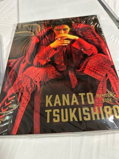 为了看退团作又飞去了岛国，目送你入待出待，从2番到上top然后退团，巅峰的宝冢人生后想念你时翻出来看看，任意门留住你在团的终点，感谢陪伴！ps：后知后觉喜欢上89期又补了钻和小海的所有作品，宝冢这个坑我越陷越深！任意门补货全靠你了！