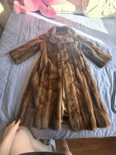 第一次任意门淘貂皮