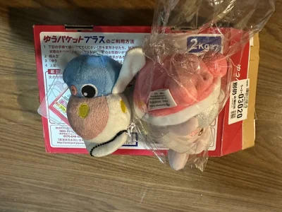 又一车海淘宝可梦到手了，因为着急想要拿到手所以没有等直接发货乐，而且这次拍卖安全下车，挖煤姬的一个很大的优点就是拍卖比较方便，包装也很用心，保护吊牌完好无损，海淘不易，祝大家都顺利收物，淘到喜欢的好价！