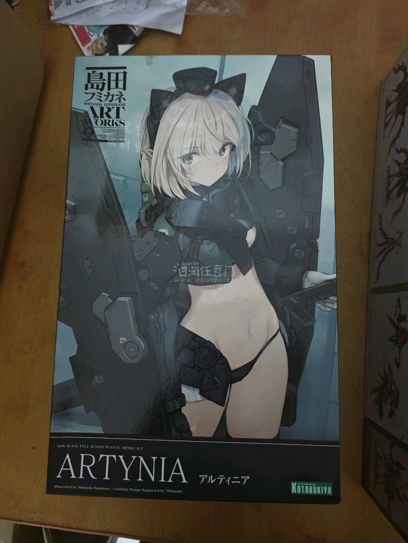 这次买的是寿屋的绿大鹫以及金田的新机娘，这次的箱子依旧八角尖尖，还是走竹蜻蜓专线，从发货到到手不过15天。令我放心。日淘任意门当属海淘的好去处，适合我这种喜欢老番的玩家去淘点冷门的玩意。