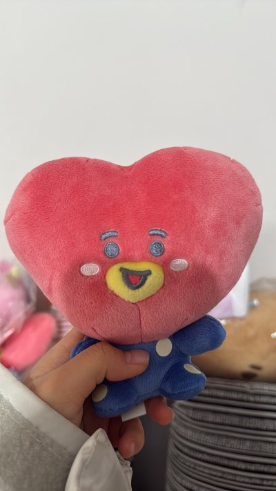 特别好看的东西，然后在挖煤姬购买运费很便宜，大家一起拼邮到达的速度也很快，物品的保护情况也特别好会继续在挖煤姬购买