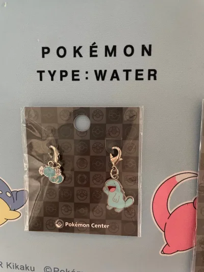 宝可梦挂进 钥匙链 屋波 耿鬼 仙伊布 妖精系 鬼系 地面系 水系 成都地区宝可梦 251种类繁多 希望用挖煤姬全部买到