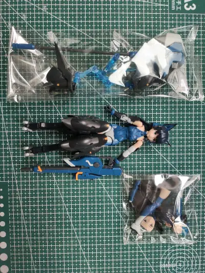 也算是蹲到好价已拼打包了，除了收到好价的以外，居然还有个团长的中古老物，想起了当初入坑acg的第一部作品，就是凉宫。