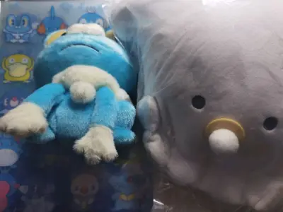 挖煤姬是一个非常好用的日淘平台，可以买到包括但不限于煤炉、骏河屋、雅虎闲置的商品，操作十分便捷，有多种运输方式可供选择。这一单使用可追踪小航空，运输时效大概一周，方便快捷，运费合理，可以使用积分抵扣。