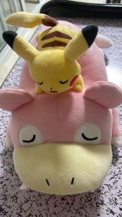 宝可梦毛绒玩具 在宝可梦中心错过了，在煤炉依然能切到好价，带吊牌全新，川香宝可梦中心限定的，感谢挖煤姬代购