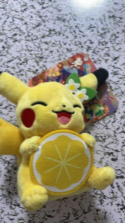 皮卡丘五光十色 笔记本 毛绒玩具 日程本 非常漂亮 吊牌运输完好，竹蜻蜓非常物流依然很快，继续挖煤姬