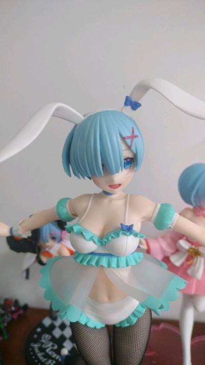 喜欢异世界的拉姆手办就来挖煤姬海淘了，完全信任的过，手办都用泡泡袋包装，盒子也选择硬抗的打包，买卖双方信誉都很高