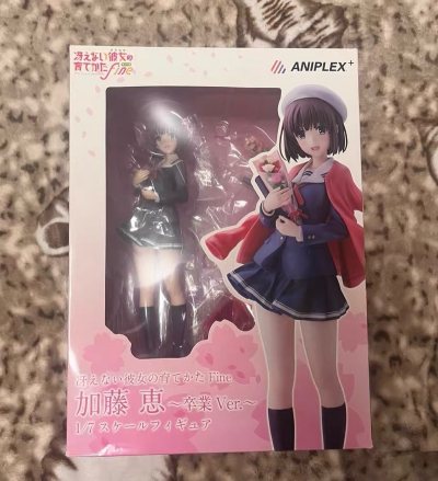 这款日版手办的品质令人惊叹。漆面光滑平整，复杂的色彩分界处干净利落，面相更是传神。开箱确认无任何中奖，是完美的“初回品”。从日本卖家发货到手上，全程物流透明，且包装防护做得极好。对追求完美品相的收藏者而言，这次购物体验堪称典范。