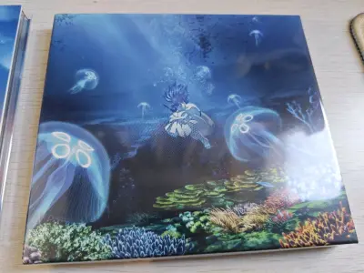 在追番完后光速入坑，就来海淘了，很幸运赶上有活动的时候，比平时便宜了不少，也是一次性把大部分都买了下来，也是一次很好的购物体验。