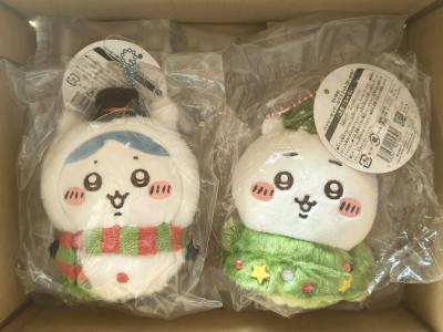 11月⭐好物分享