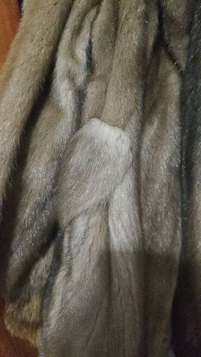 就这样和好价貂缠绵下去