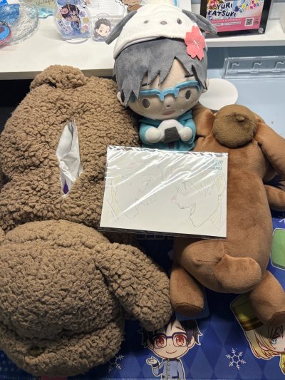 可爱的小毛绒们