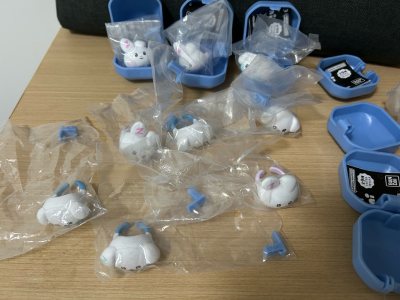 萌萌的zeroni戒指终于收到了，小小一个很喜欢，还好价买到了slam dunk特别版专辑和芒果gyunini，这次运回依旧走的竹蜻蜓专线，因为有优惠，虽然慢了点但是完全能接受，安全顺利收到