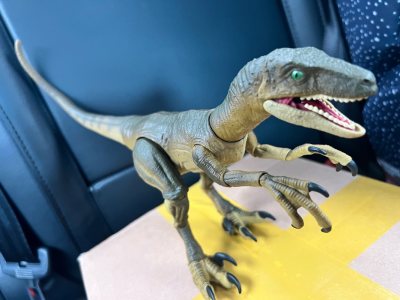 东西完美的收到了，玩具比国内买便宜很多，而且物流也很给力，包装很结实，盒子里都是保护泡沫，还会再买！