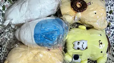 家人们，挖到宝了！最近疯狂痴迷海淘，然后就发现了挖煤姬这个宝藏 app。它的操作超简单，就算是海淘小白也能轻松上手。商品种类那叫一个丰富，只有你想不到，没有你买不到，不管是热门的动漫周边，还是小众的中古好物，都能在上面找到。而且下单流程清晰明了，客服回复也超及时，有...