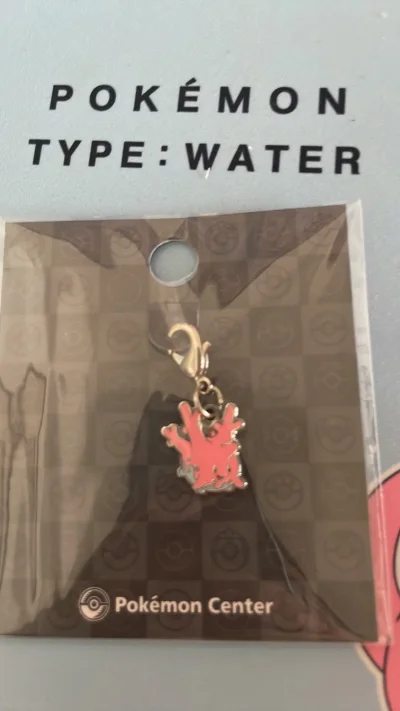 宝可梦 去吧 皮卡丘 伊布 口袋妖怪金银 全国图鉴 全新未拆的金属挂件 非常漂亮的新款，感谢挖煤姬快速代切